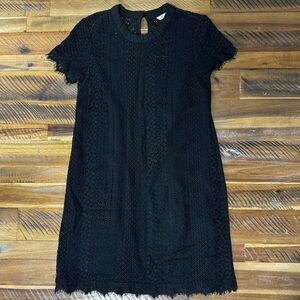 Black Lace Short Sleeve Dress
